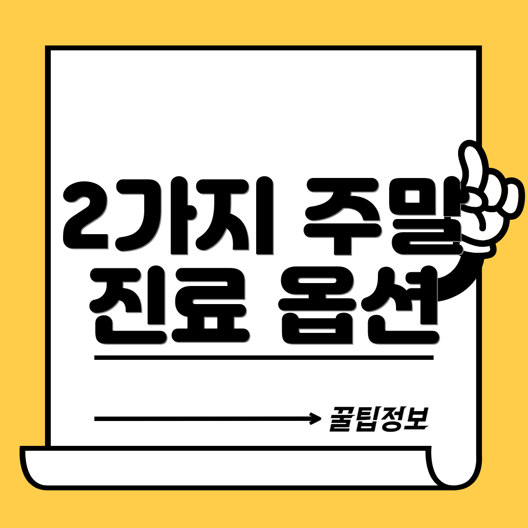 2가지 주말 진료 옵션