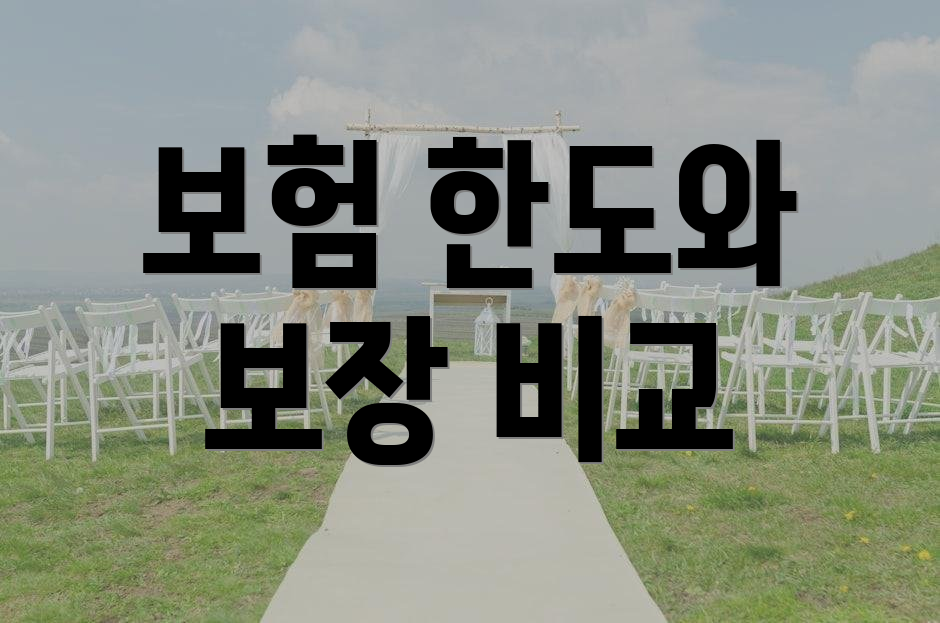 보험 한도와 보장 비교
