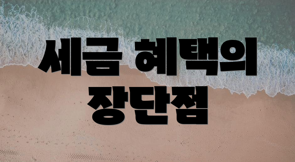 세금 혜택의 장단점