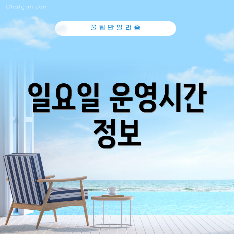 일요일 운영시간 정보