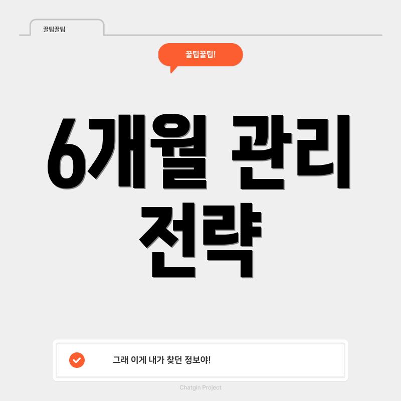 6개월 관리 전략