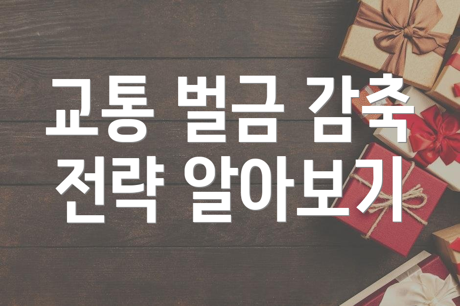 교통 벌금 감축 전략 알아보기