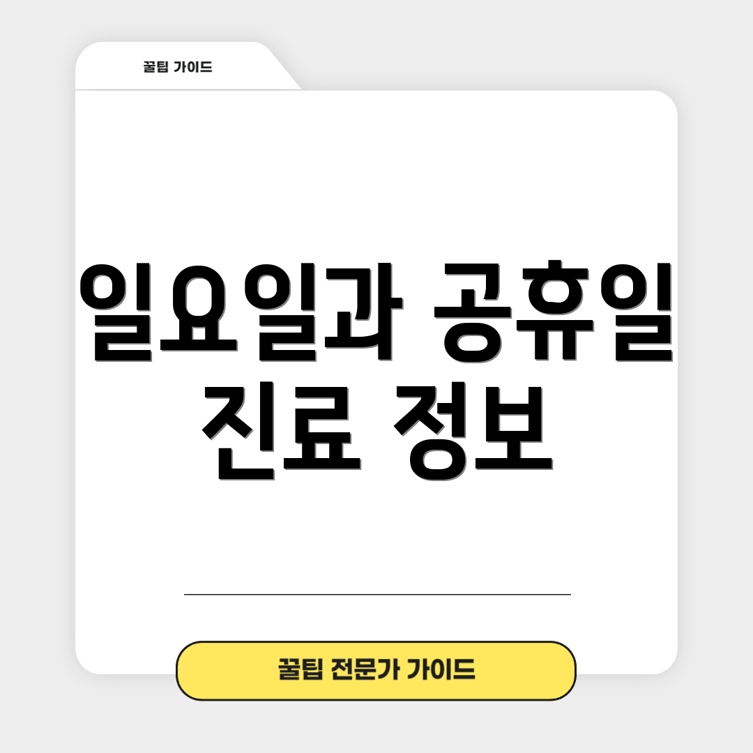 일요일과 공휴일 진료 정보