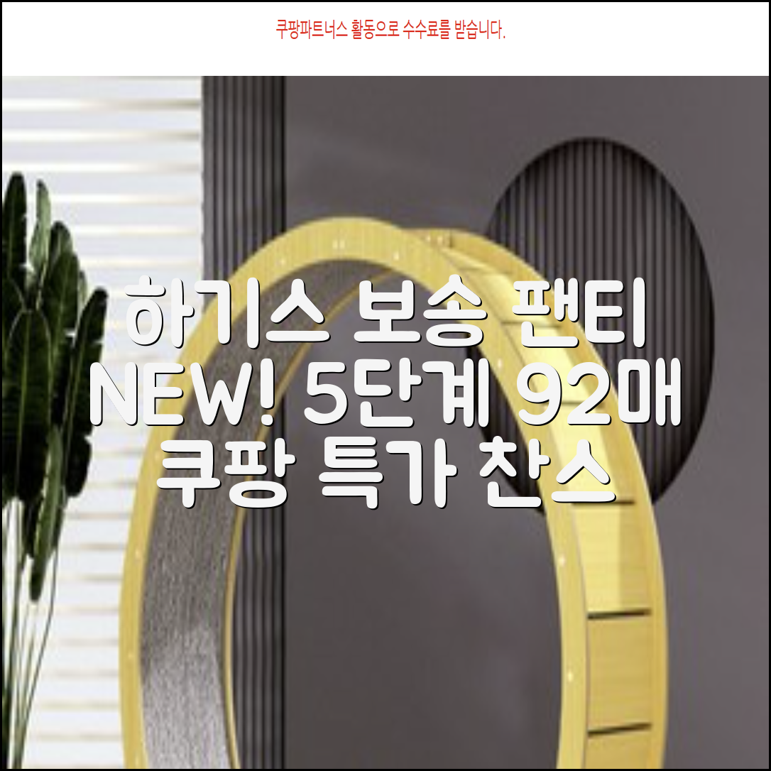 하기스 NEW 보송보송 팬티형 기저귀 공용, 5단계, 92매 추천 리뷰