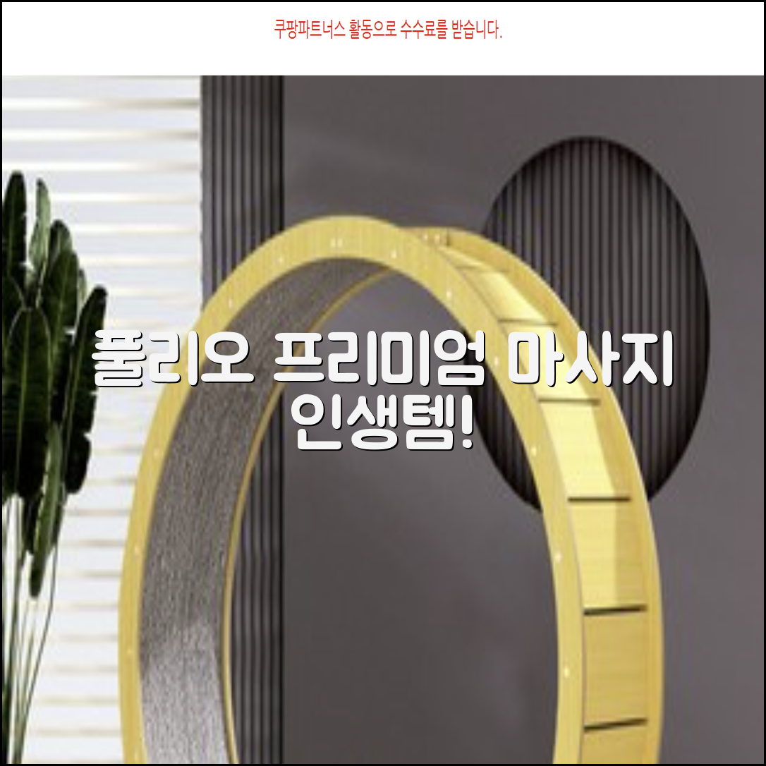 [풀리오 본사] 풀리오 프리미엄 마사지 매트 추천 리뷰