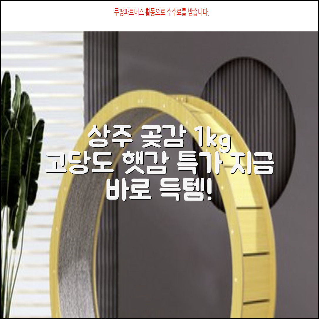 상주 곶감 초특가 1kg 고당도 햇감, 1개 추천 리뷰