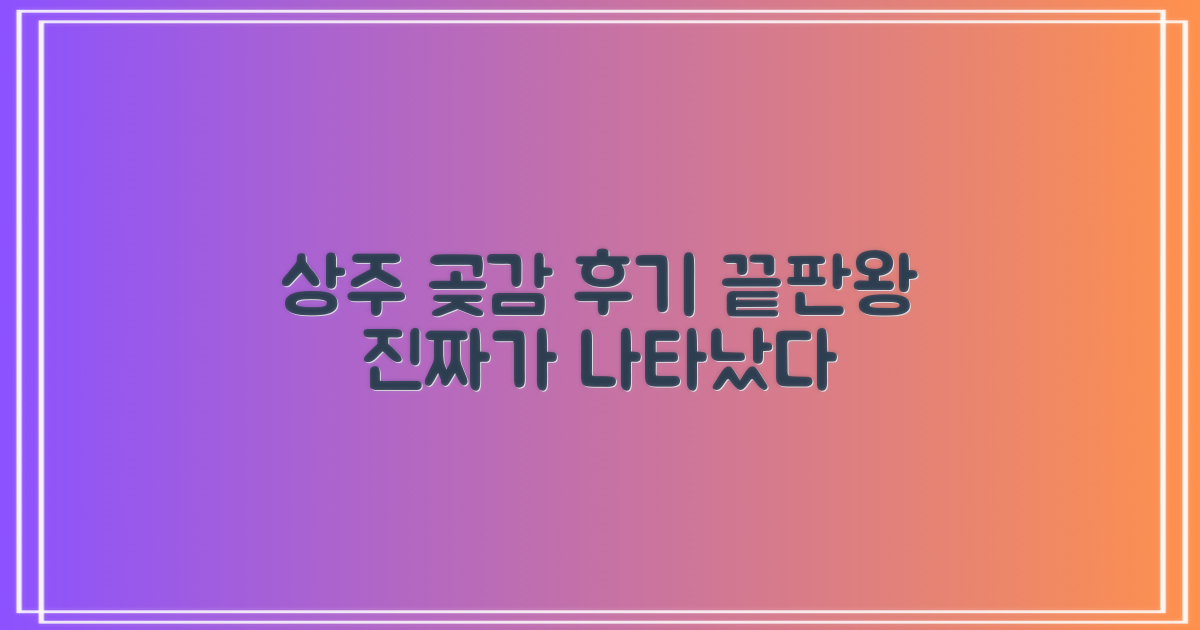 후기: 곶감은 역시 상주!