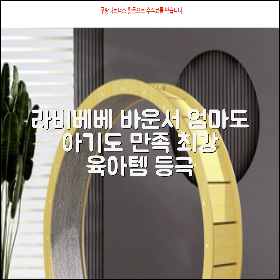 라비베베 세이프 바운서 추천 리뷰