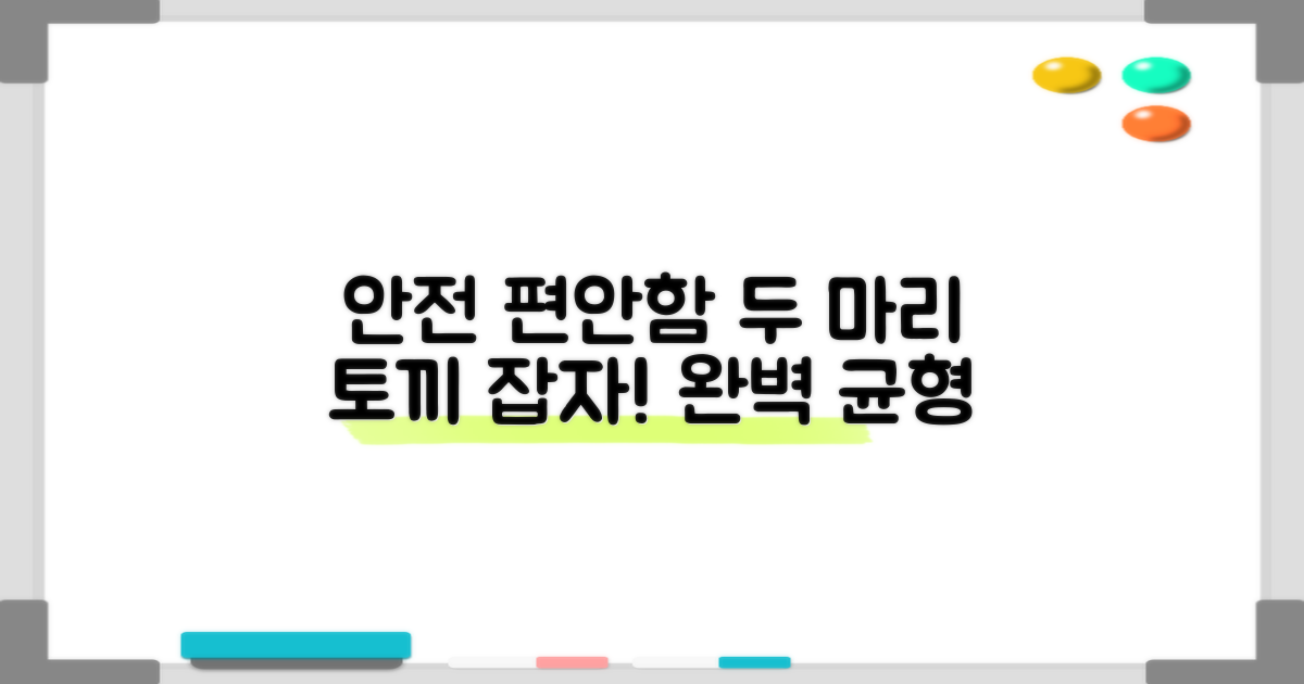 안전과 편안함, 두 마리 토끼