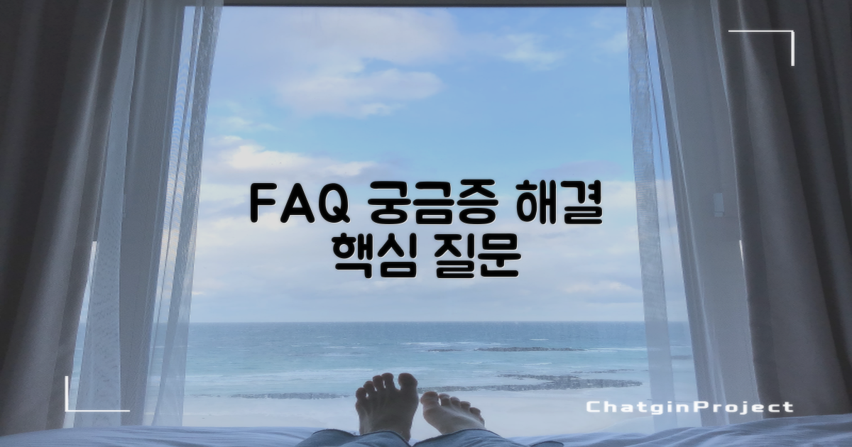 자주 묻는 질문