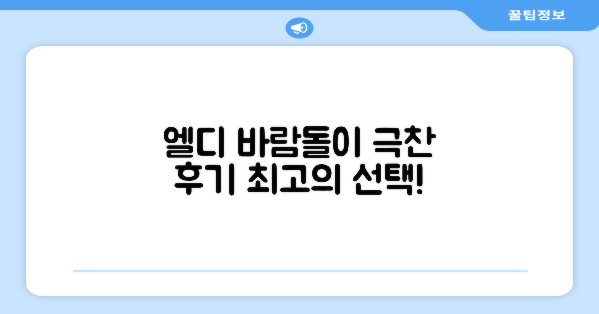 엘디 바람돌이, 후기 극찬