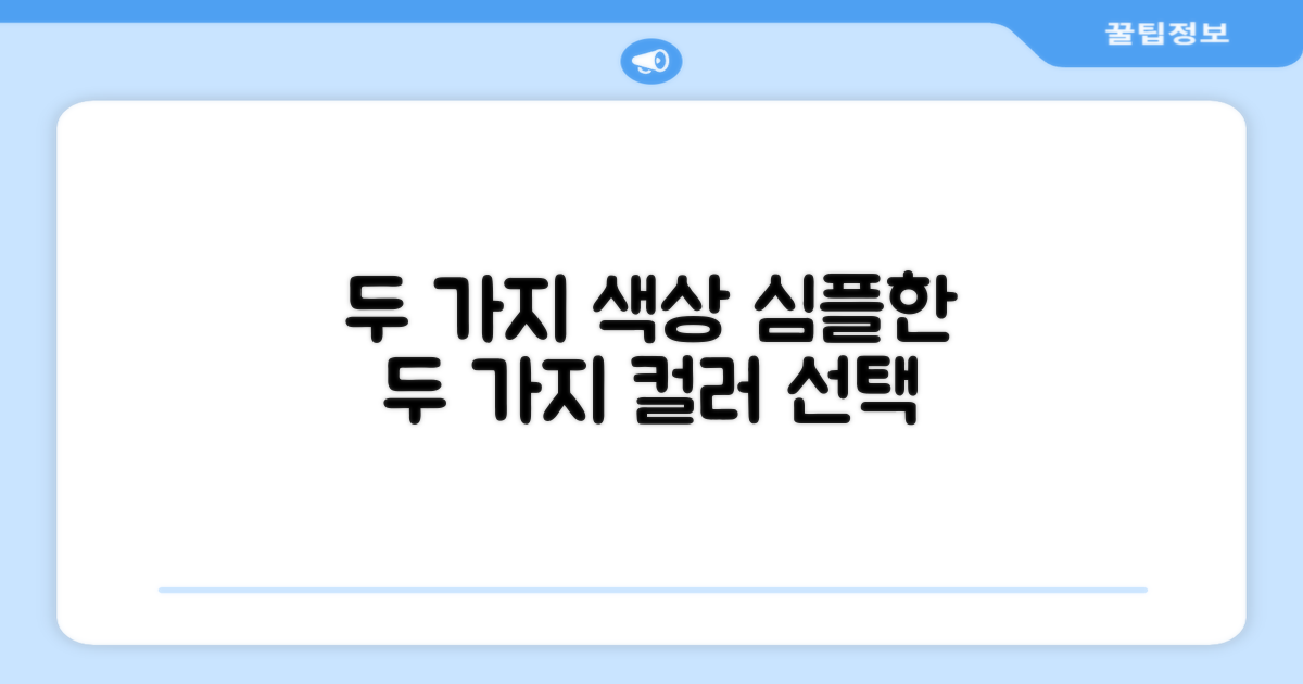 2가지 색상 옵션