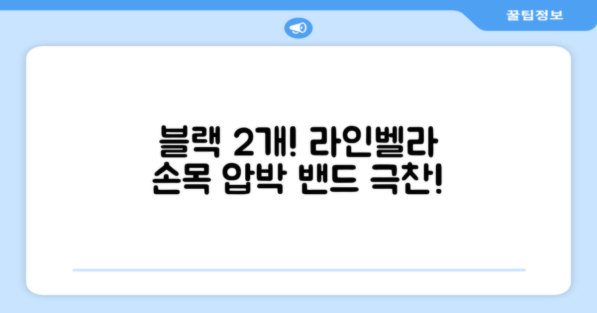 라인벨라 의료용 손목 압박용 밴드 블랙, 2개 추천 리뷰