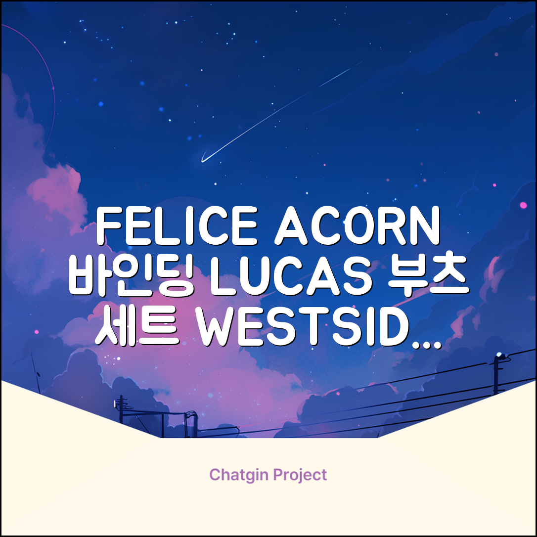 FELICE 장비세트6 ACORN데크 바인딩 LUCAS부츠, WESTSIDE 레드154+바인딩M, 1개 추천 리뷰