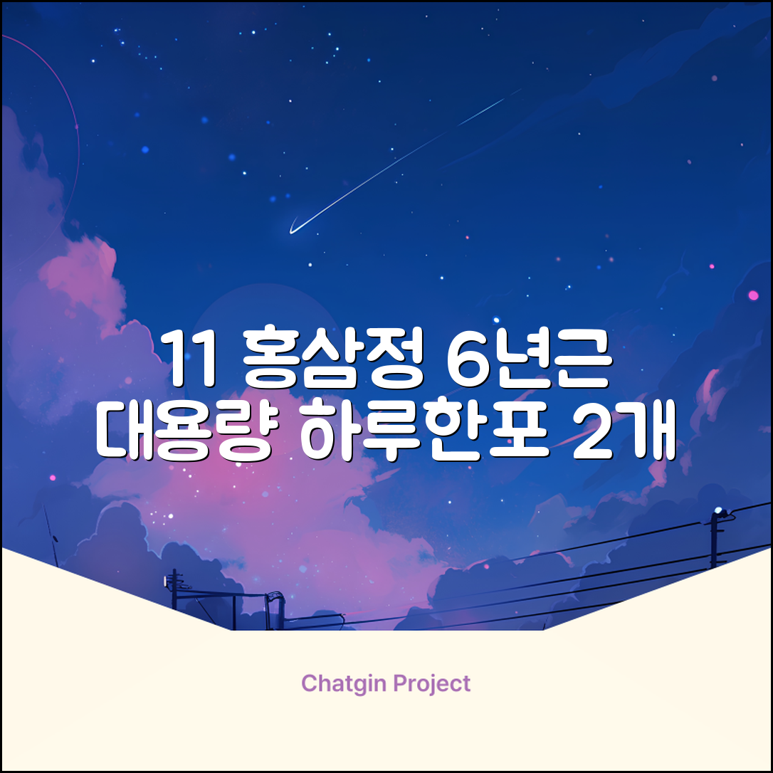 [1+1 특가] 홍삼정 6년근 하루한포 100회분 대용량+쇼핑백, 2개, 1L 추천 리뷰
