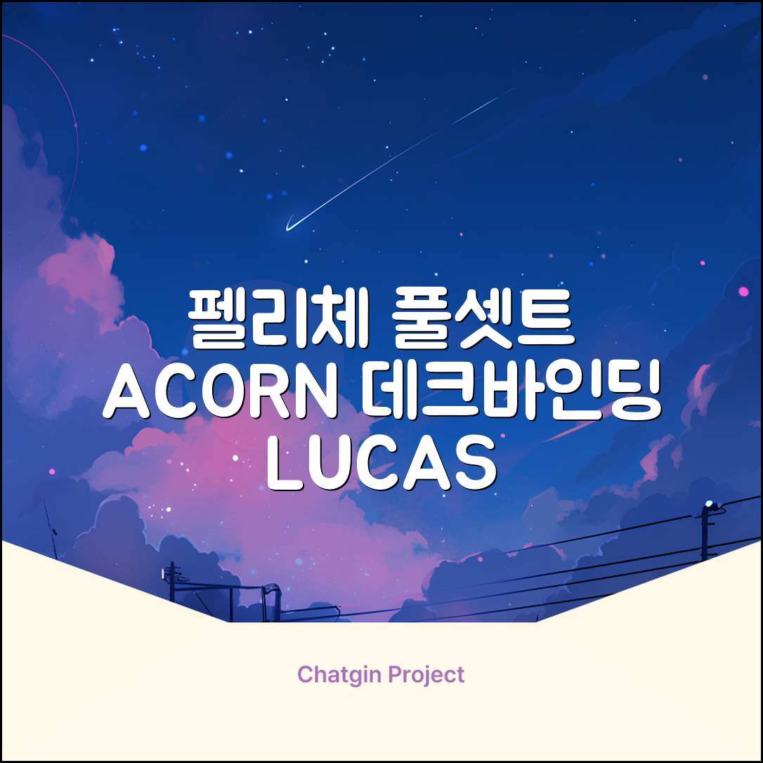 FELICE 장비세트6 ACORN데크 바인딩 LUCAS부츠, WESTSIDE 레드154+바인딩M, 1개 추천 리뷰