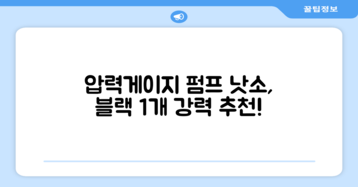 낫소 양방향 압력게이지 펌프, 블랙, 1개 추천 리뷰