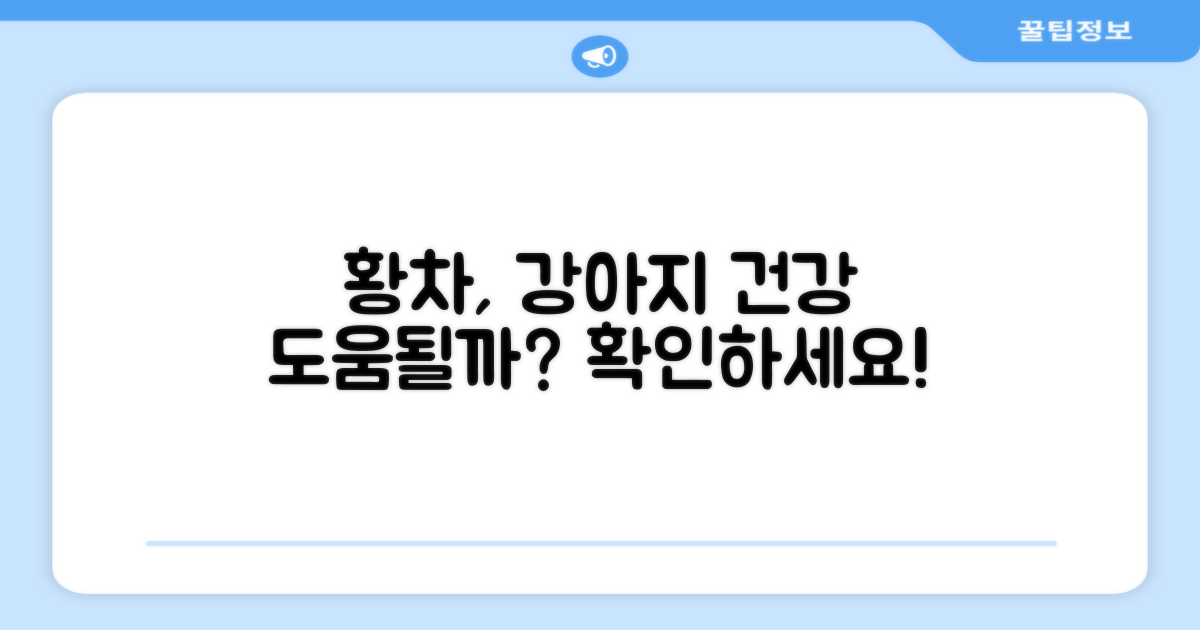 황차, 강아지 건강에 도움될까?