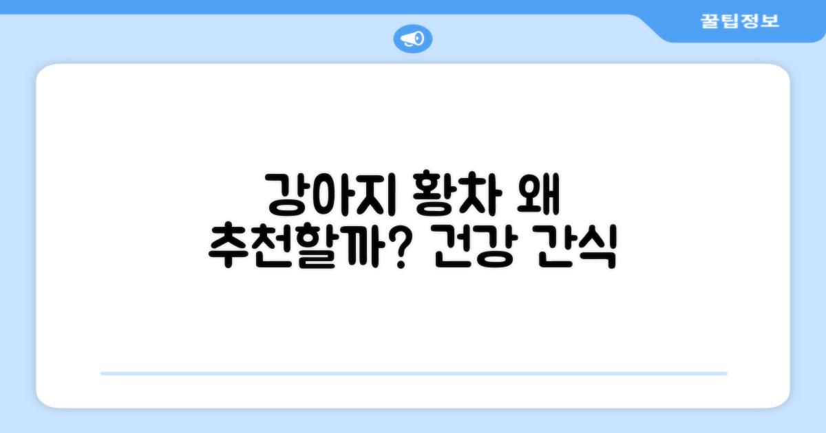 강아지 황차, 왜 추천할까?