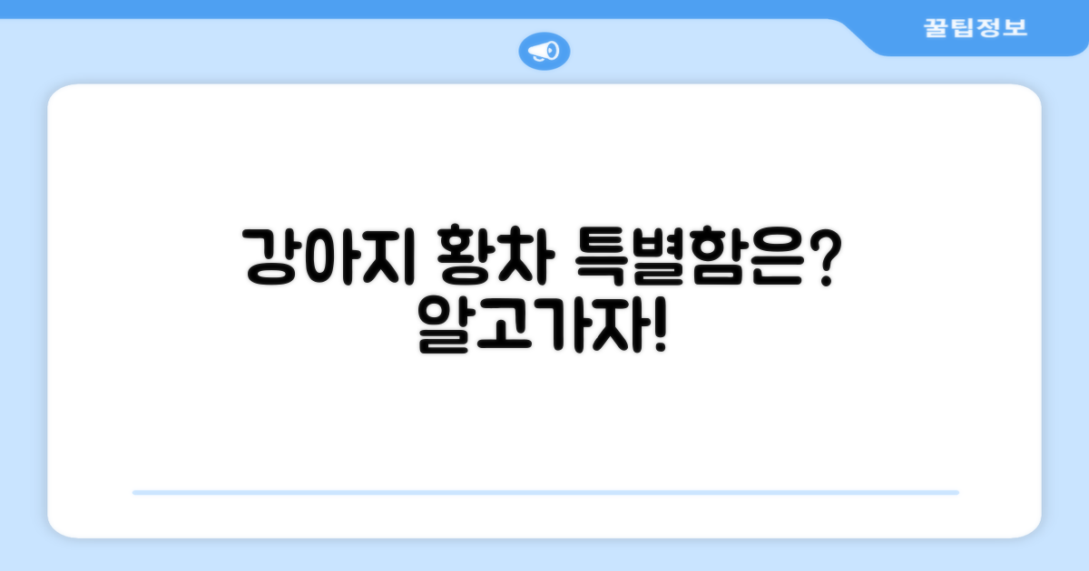 강아지 황차, 어떤 점이 다를까?