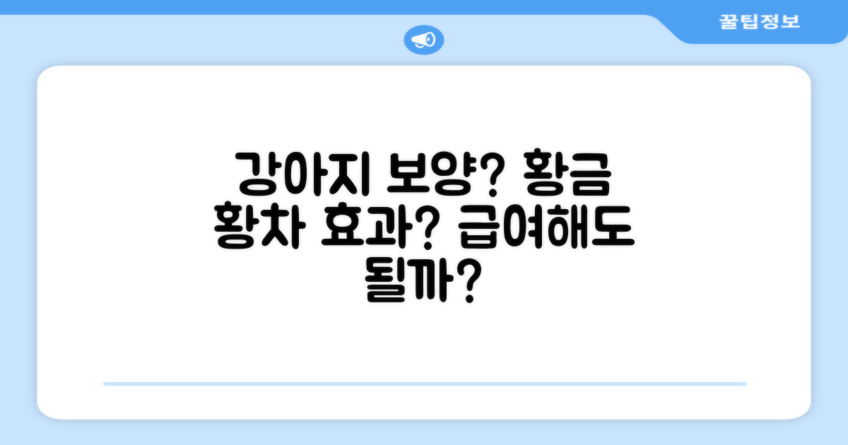 강아지에게 보양 황차가 좋을까?