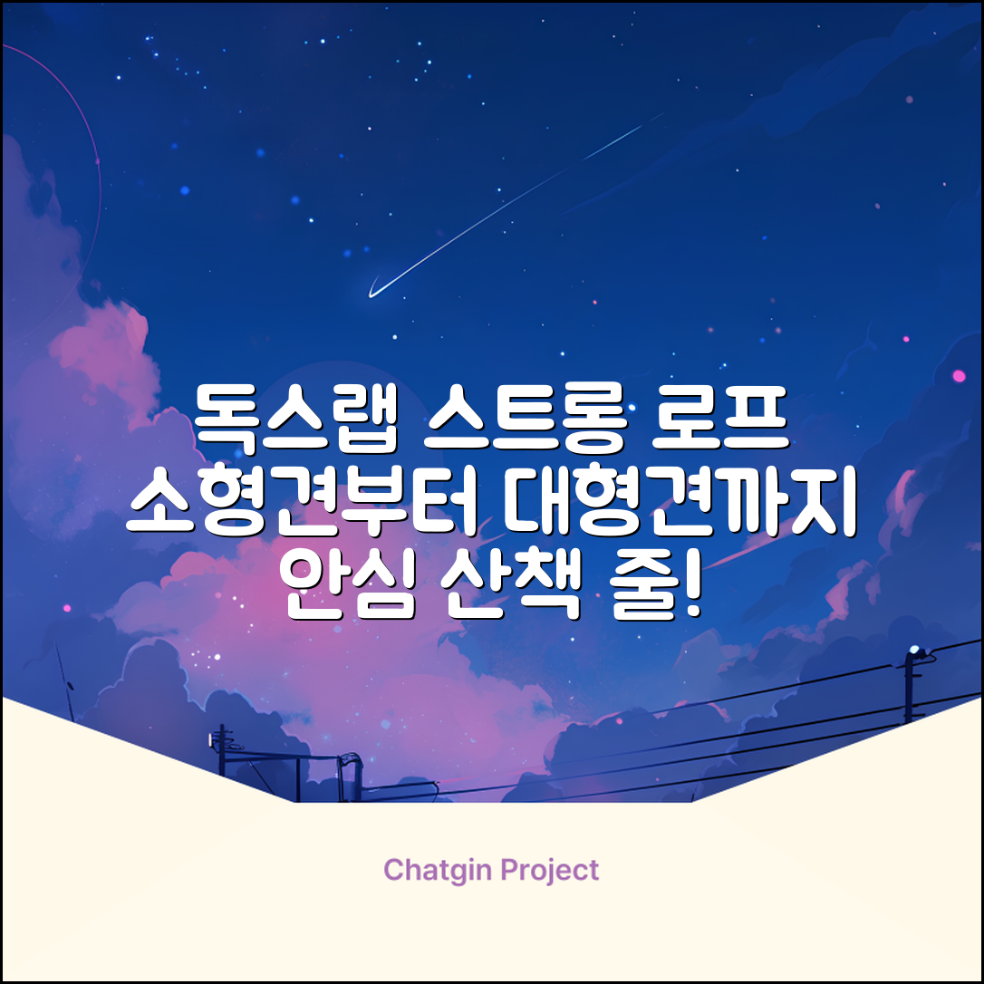 독스랩 1.5m 2m 3m 5m 스트롱 로프 소형견 중형견 대형견 줄 강아지 리드줄 산책줄, 블랙, 1개 추천 리뷰