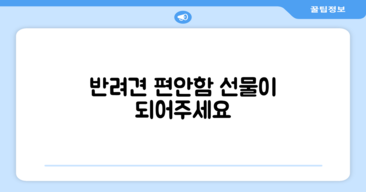 반려견에게 편안함 선물