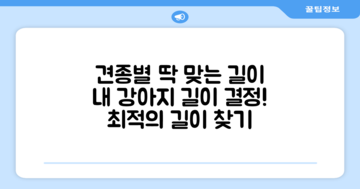 견종별 딱 맞는 길이 선택