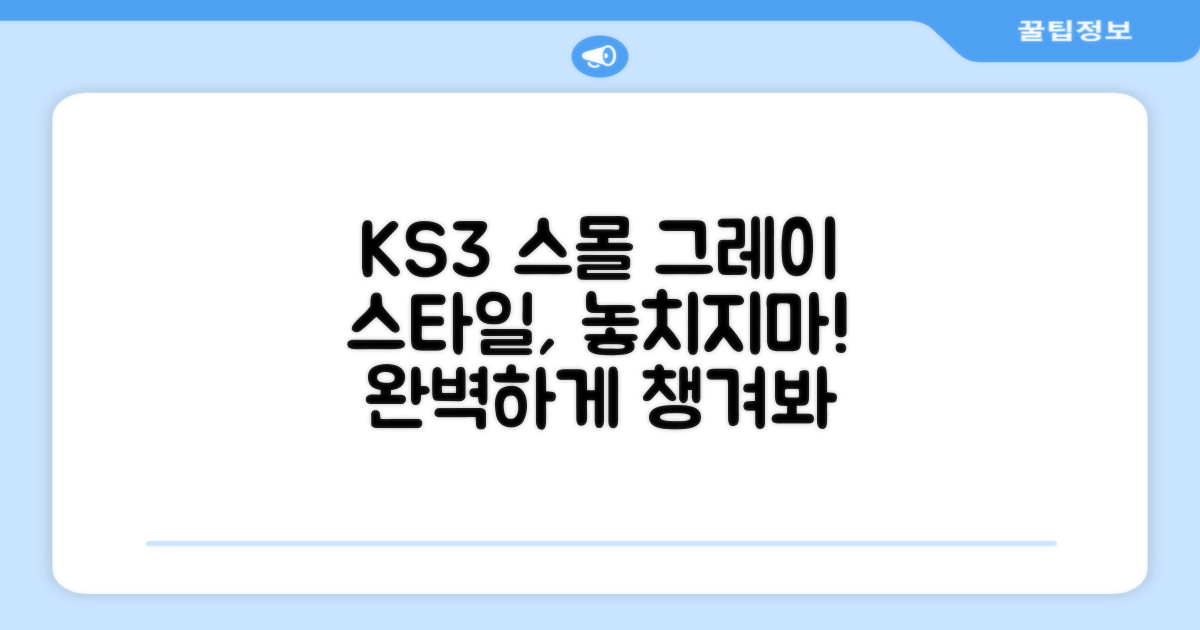 KS3 스몰 그레이로 스타일까지 챙기세요