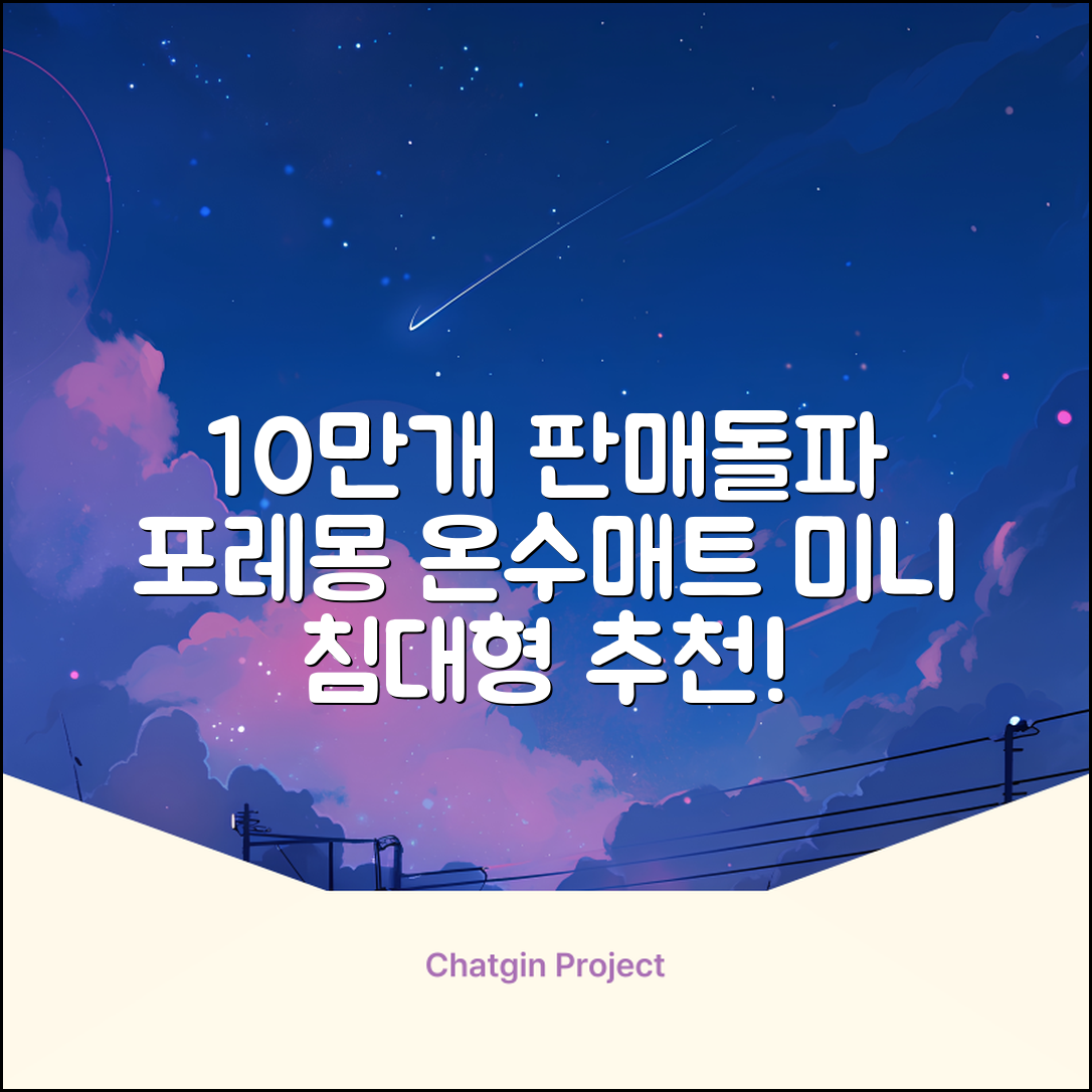 [10만개 판매돌파] 포레몽 온수매트 침대형 BTM-501S, 미니(800x1800mm) 추천 리뷰