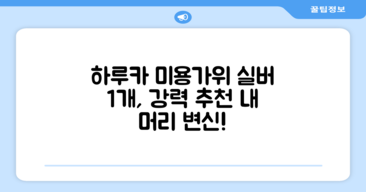 하루카 미용가위 세트, 실버, 1개 추천 리뷰
