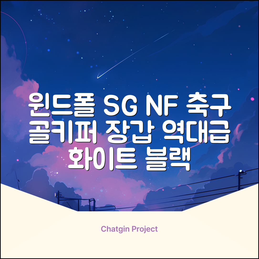 윈드폴스포츠 SG NF 축구 골키퍼장갑 5호-10호, 윈드폴스포츠 SG NF 골키퍼장갑 화이트 블랙, 1개 추천 리뷰