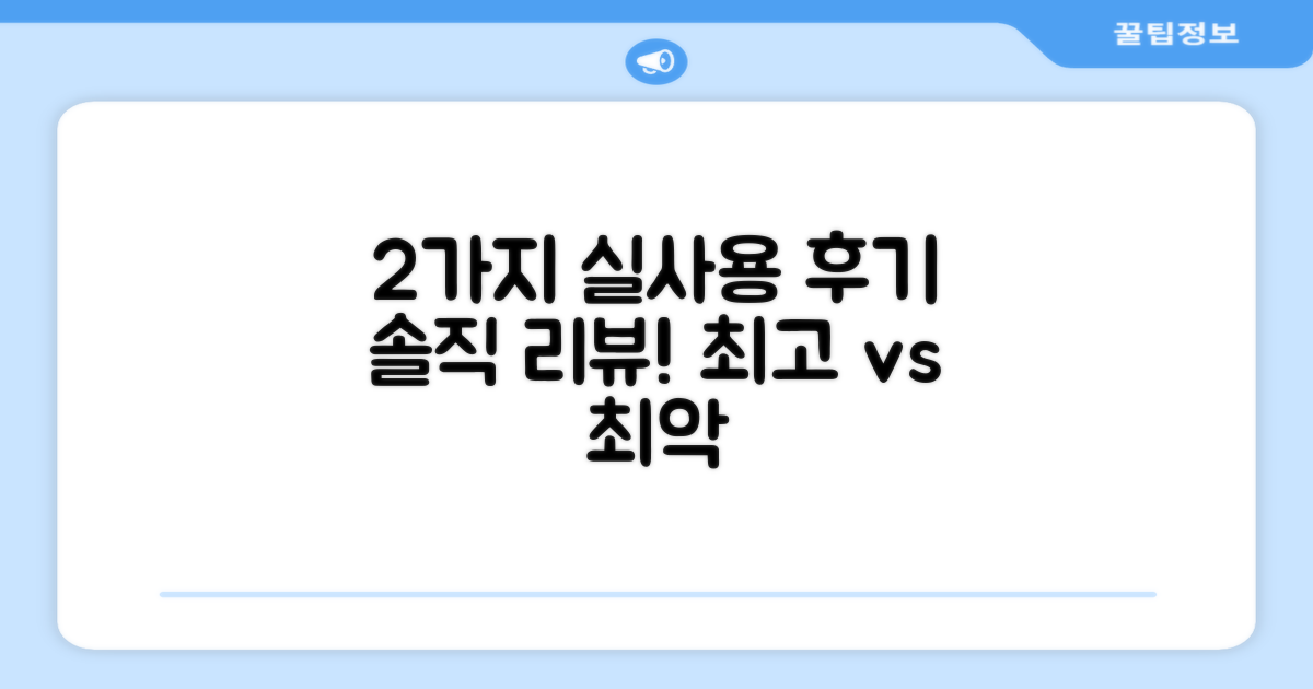 2가지 실사용 후기