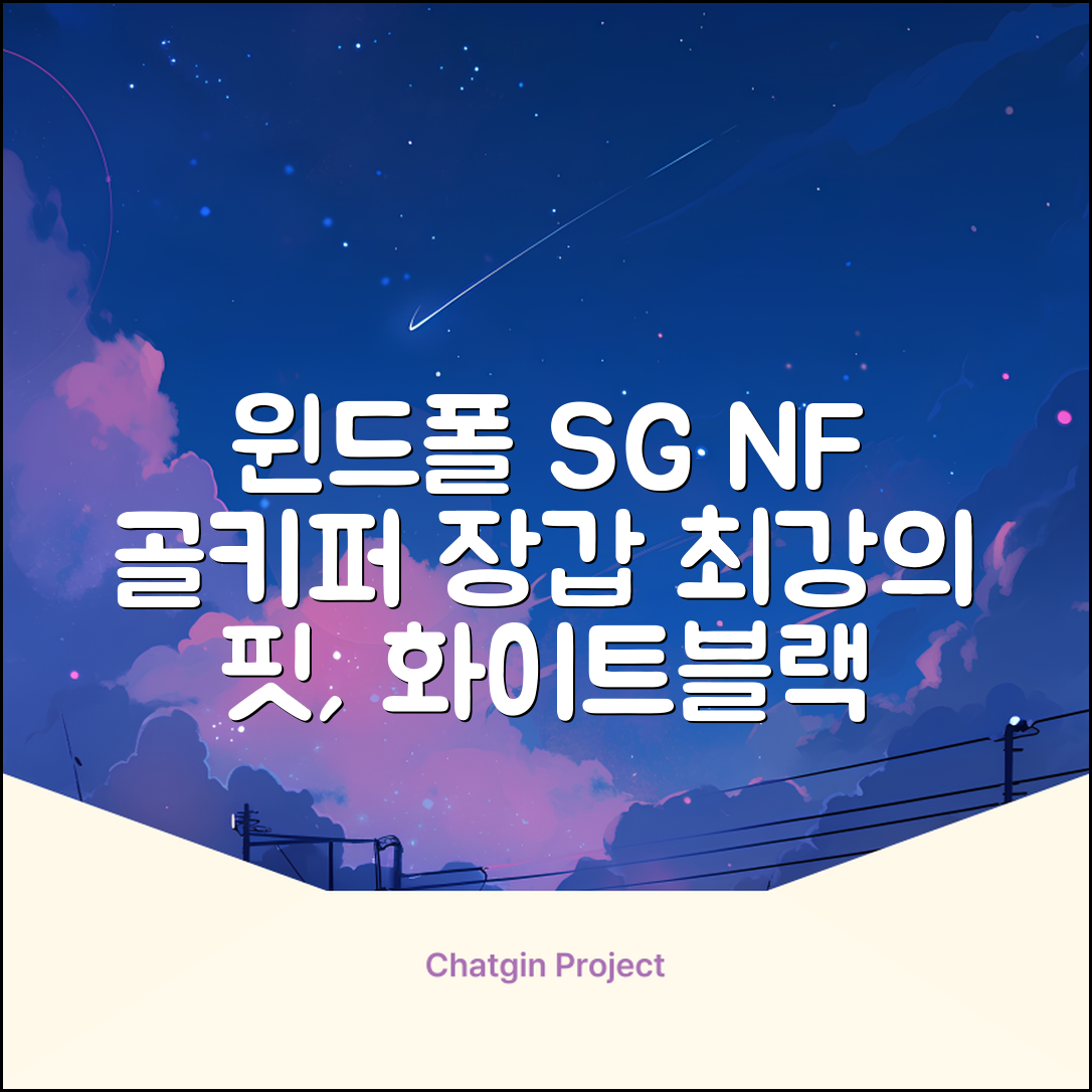 윈드폴스포츠 SG NF 축구 골키퍼장갑 5호-10호, 윈드폴스포츠 SG NF 골키퍼장갑 화이트 블랙, 1개 추천 리뷰