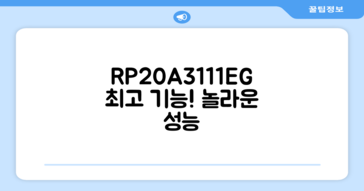RP20A3111EG, 최적의 기능