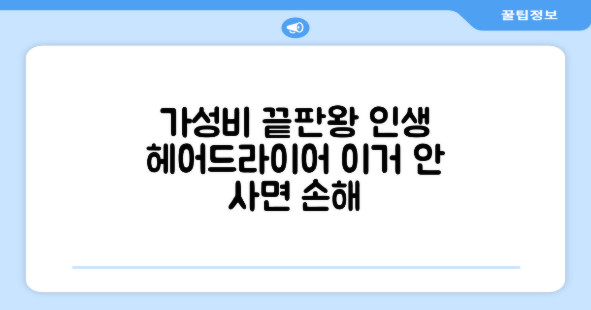 가성비 최고 헤어드라이어