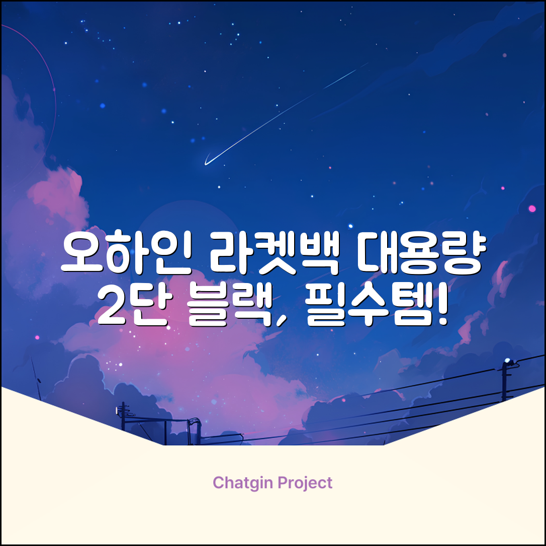 오하인 배드민턴 테니스 스쿼시 2단 대용량 라켓 가방, 블랙, 1개 추천 리뷰