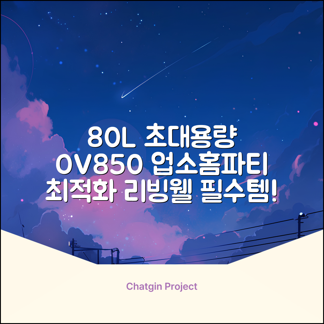 리빙웰 업소용 홈파티용 초대용량 80리터 OV850, 상품명 표기 추천 리뷰