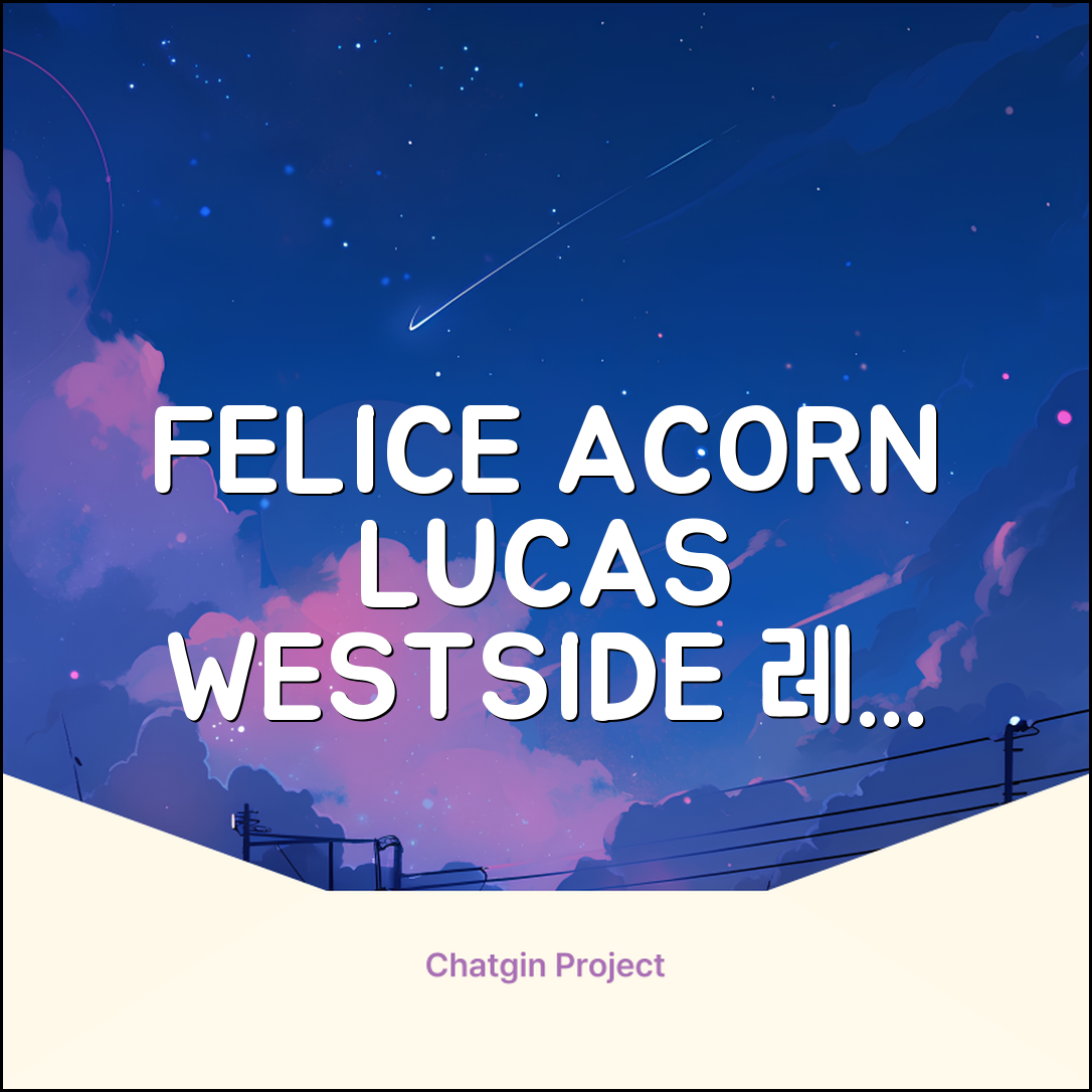 FELICE 장비세트6 ACORN데크 바인딩 LUCAS부츠, WESTSIDE 레드154+바인딩M, 1개 추천 리뷰