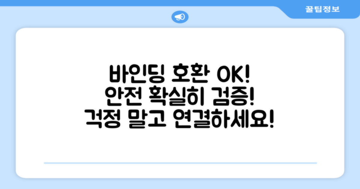 바인딩 호환성, 안전성 검증