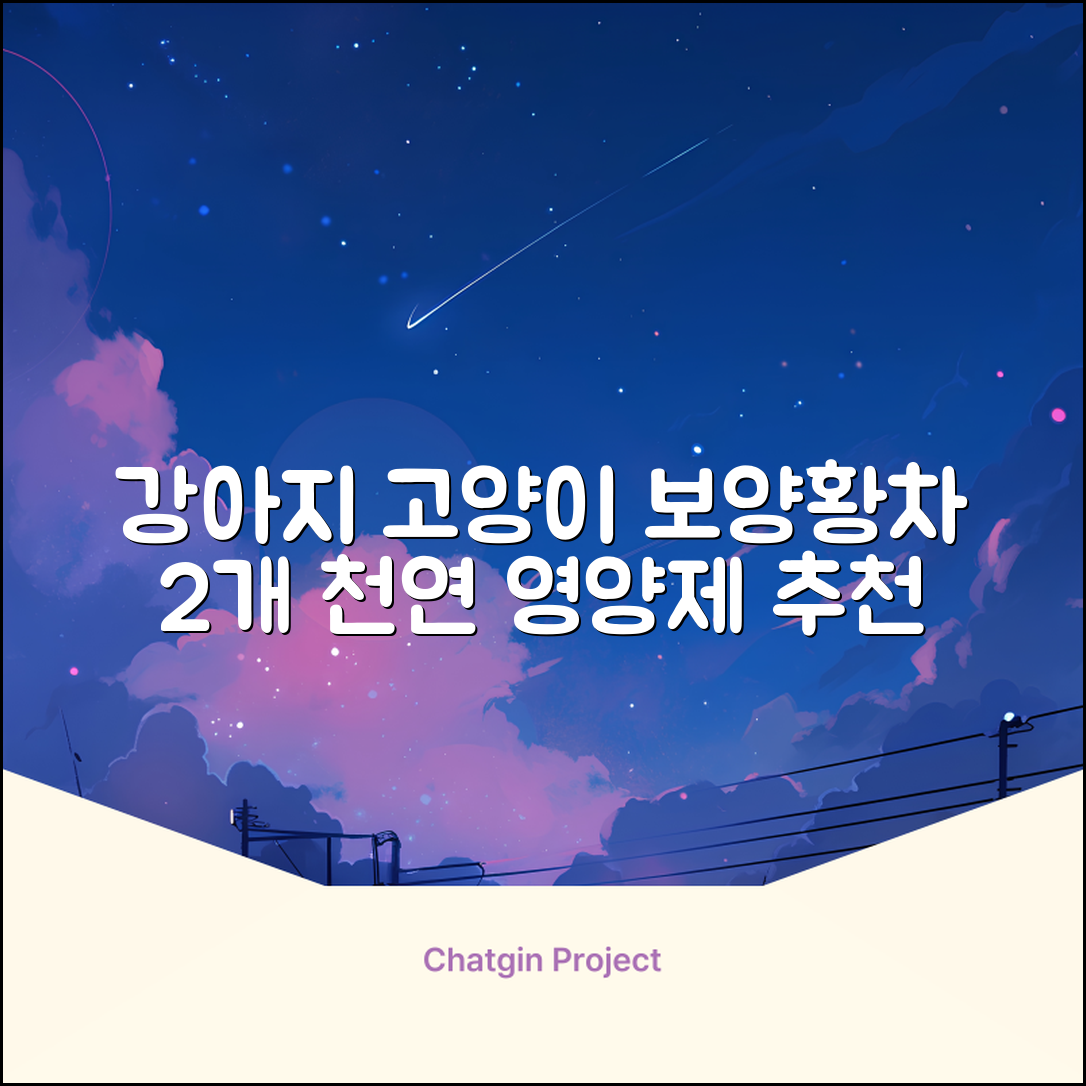 더보양 보양황차 강아지 고양이 마시는 천연 영양제, 280ml, 2개 추천 리뷰