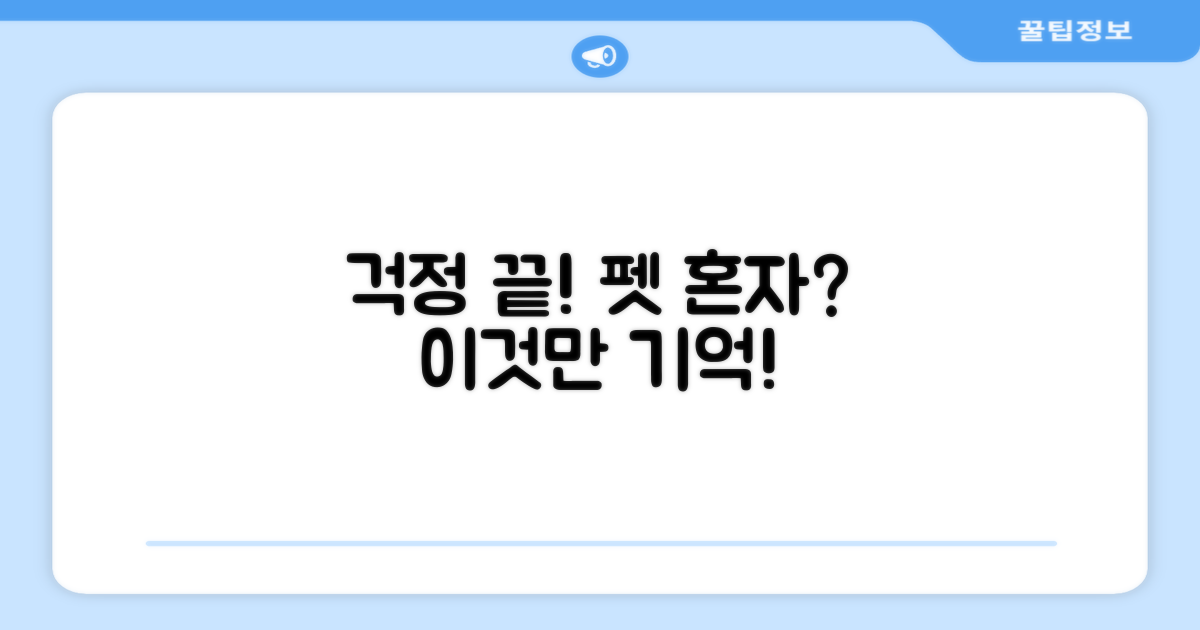 펫 혼자 있어도 걱정 끝!