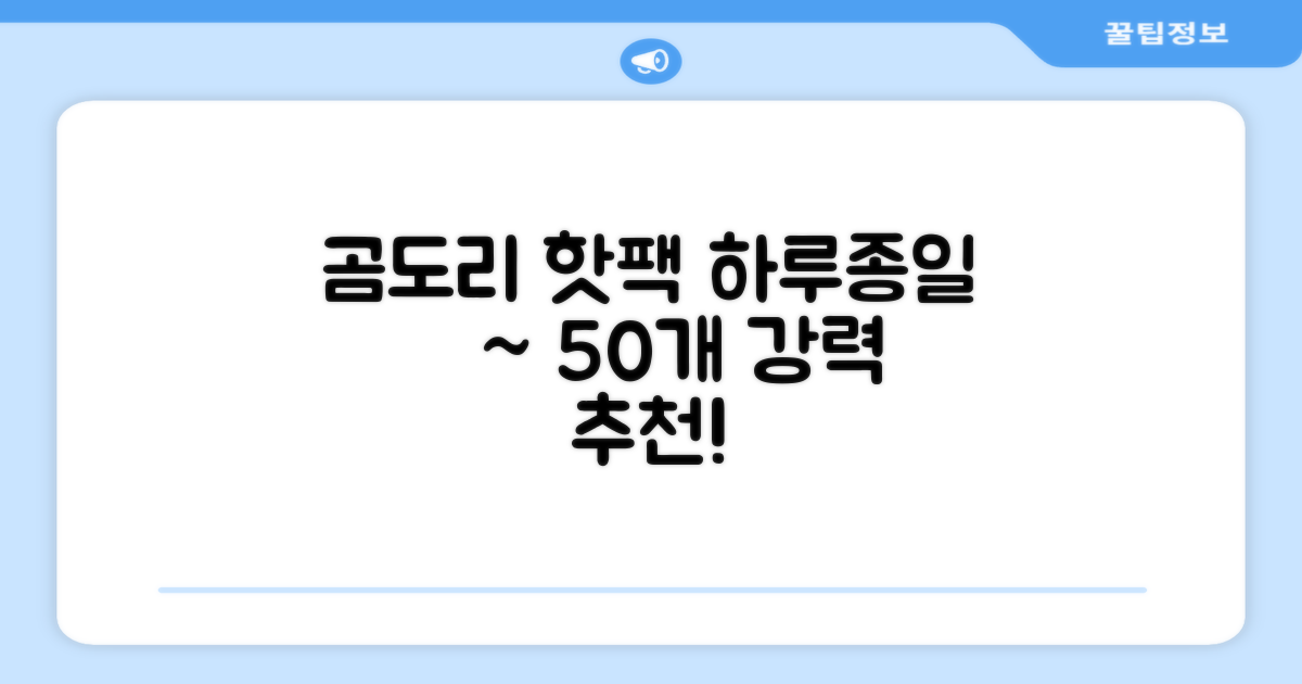 곰도리 하루종일 촥~ 붙이는 핫팩 장시간 고급형, 50개 추천 리뷰
