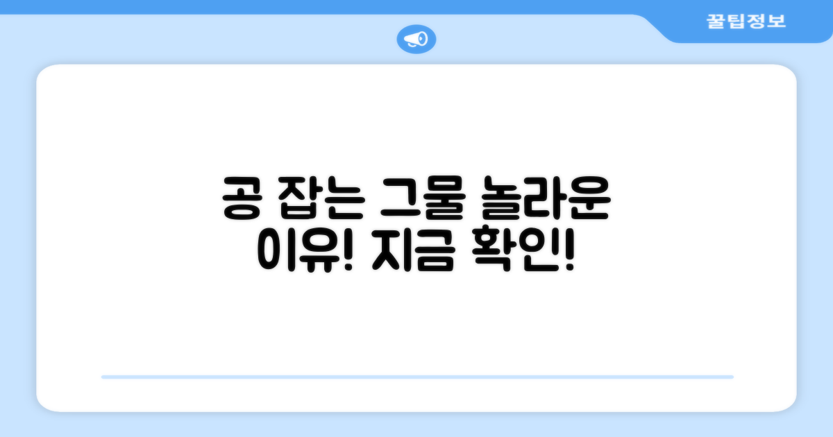 공 담기 딱 좋은 그물, 왜 좋을까?