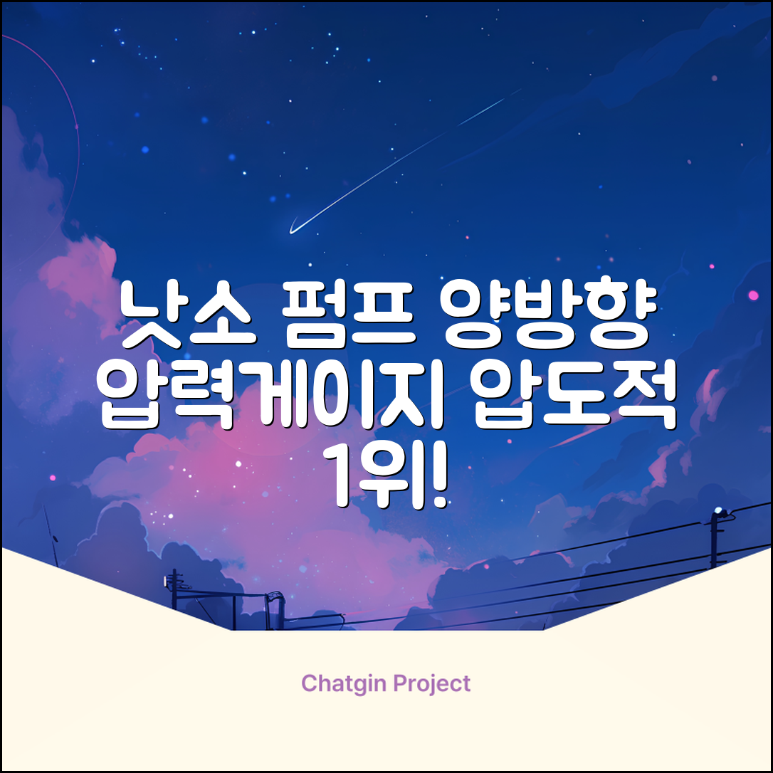 낫소 양방향 압력게이지 펌프, 블랙, 1개 추천 리뷰