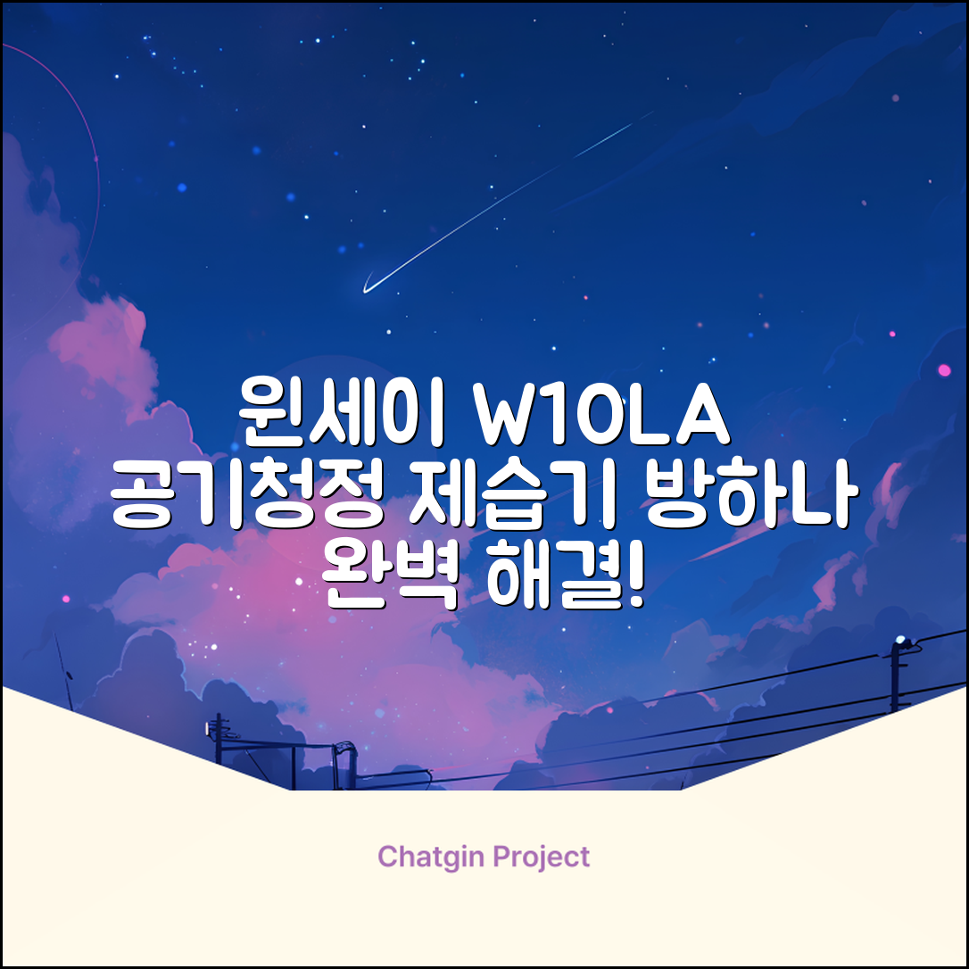 윈세이 인버터 방하나 공기청정 제습기 10L W10LA 추천 리뷰