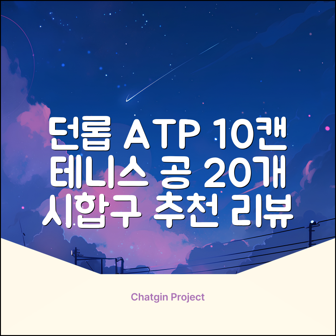 2025 던롭 ATP 테니스공 10캔 (20볼) 시합구, 던롭 ATP볼 10캔 (20볼), 10세트 추천 리뷰