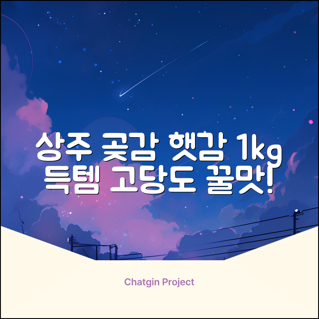 상주 곶감 초특가 1kg 고당도 햇감, 1개 추천 리뷰