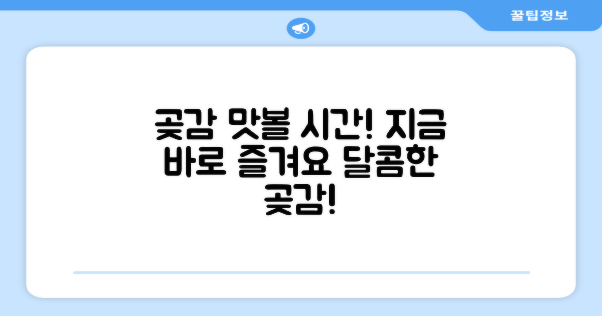 지금 바로 곶감 맛보세요!
