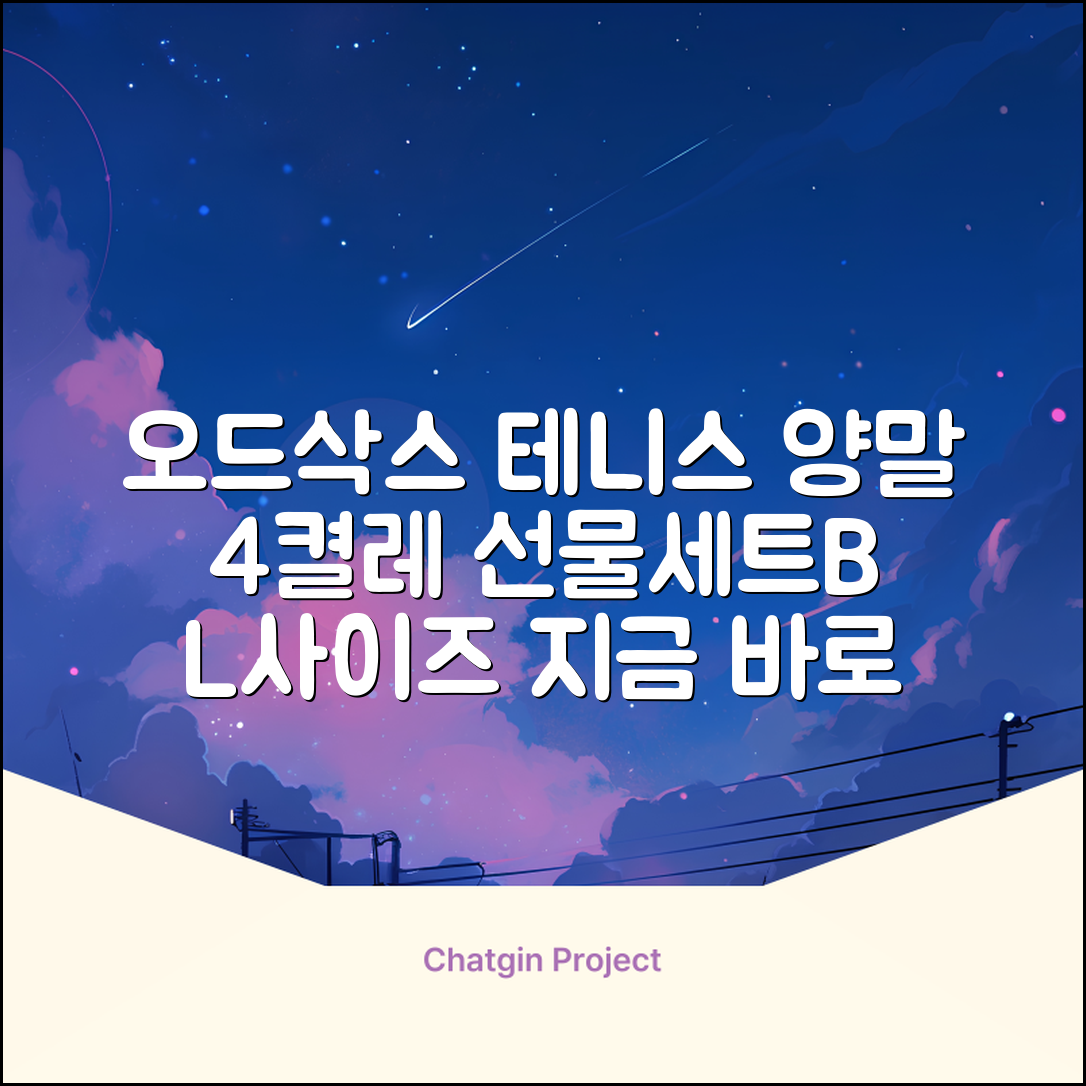 [오드삭스] 테니스 양말 세트B 4켤레 선물용, L(255mm-275mm), 1개 추천 리뷰